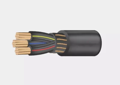 Cable ( Antifraude )